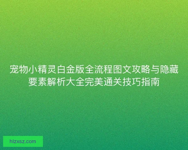 宠物小精灵白金版全流程图文攻略与隐藏要素解析大全完美通关技巧指南